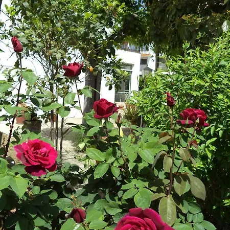 Hostal Cruz
